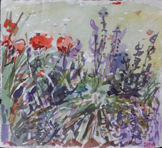 Poppies & Catmint