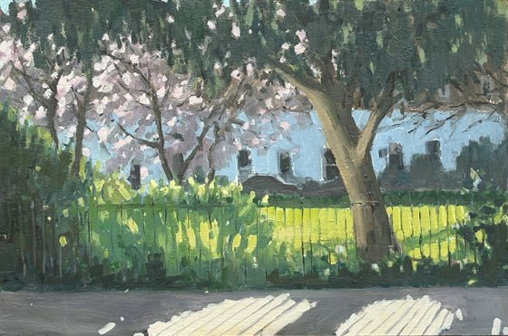 Paultons Square blossom