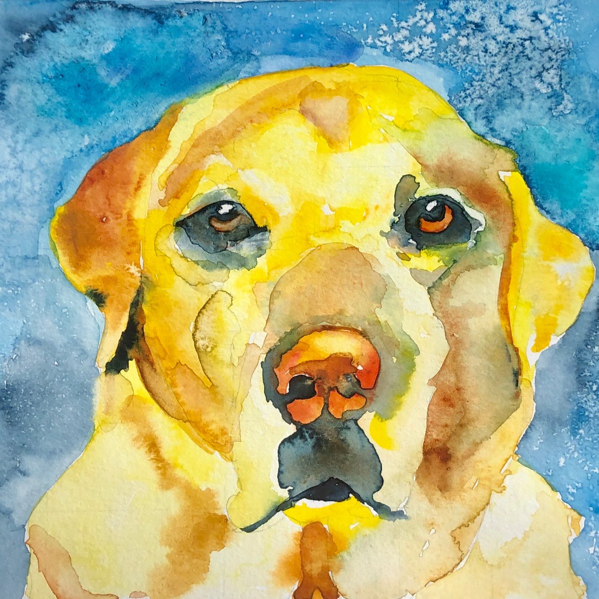 Yellow labrador by Bee Inch