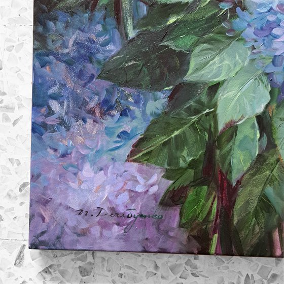 Hydrangea garden