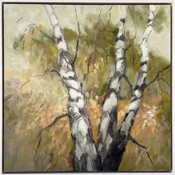 Birch Forest 2