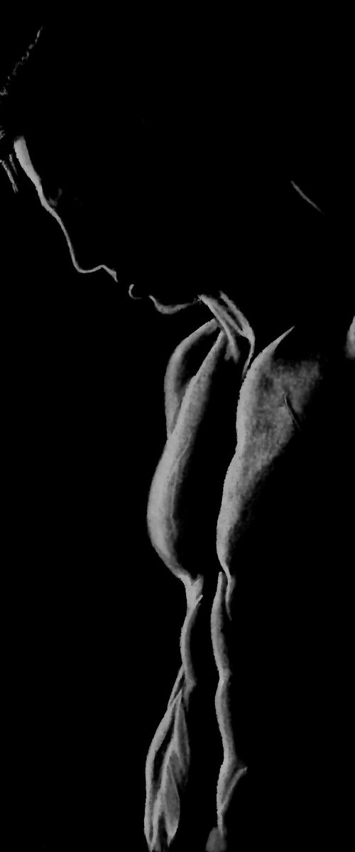 Shadow Series VII by Paul Stowe