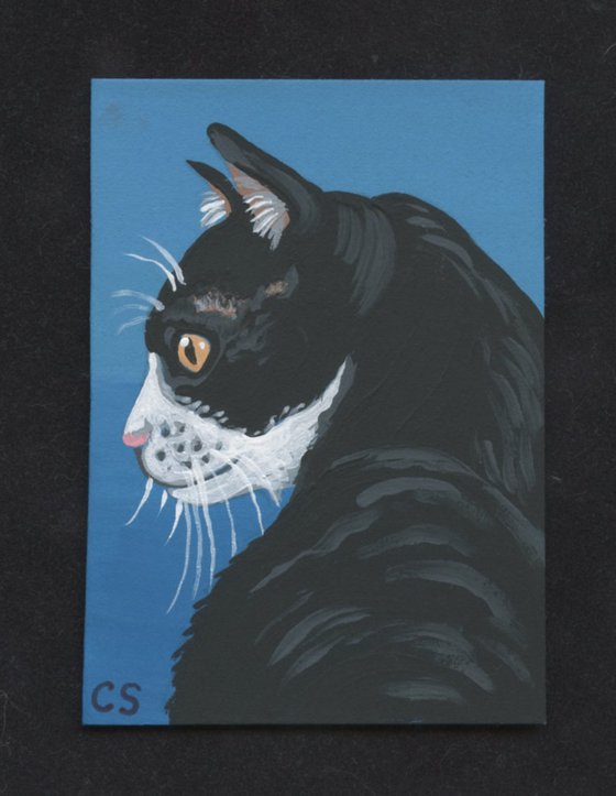 ACEO ATC Original Miniature Painting Tuxedo Pet Cat Art-Carla Smale