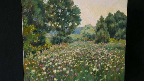 The Twilight Meadow