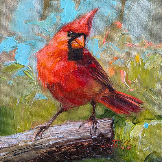 Cardinal bird