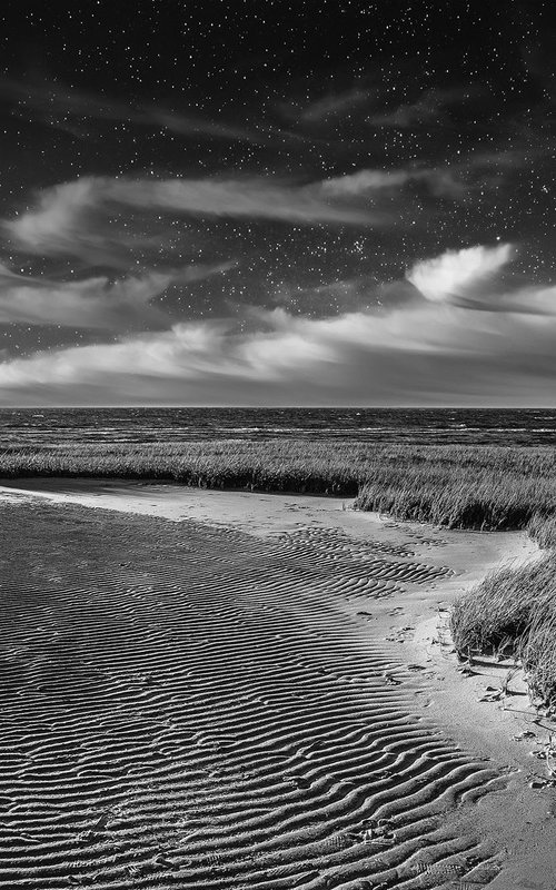 Skaket Beach, 24 x 16" by Brooke T Ryan