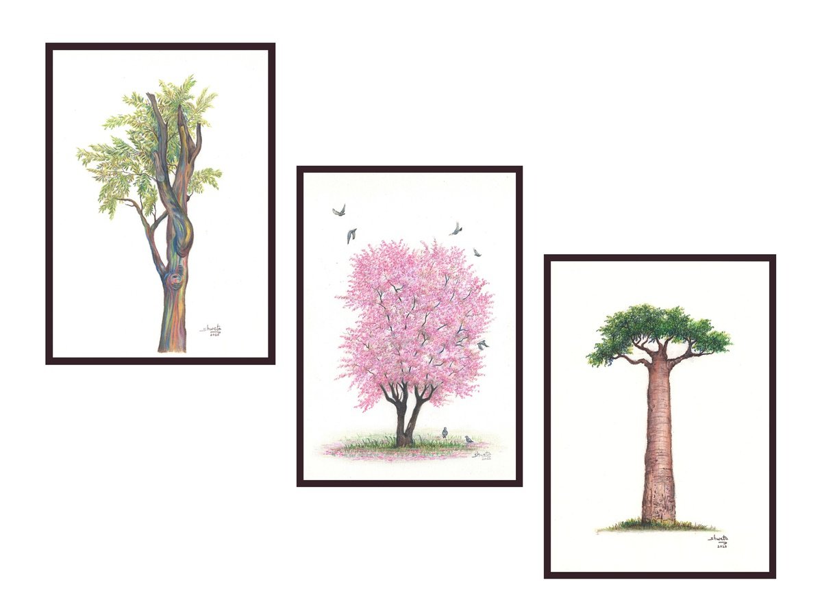 Photorealistic Pencil Drawing , Collection Of Trees Iii By Shweta Mahajan, 6 X 8, Artwork For Sale On Artfinder