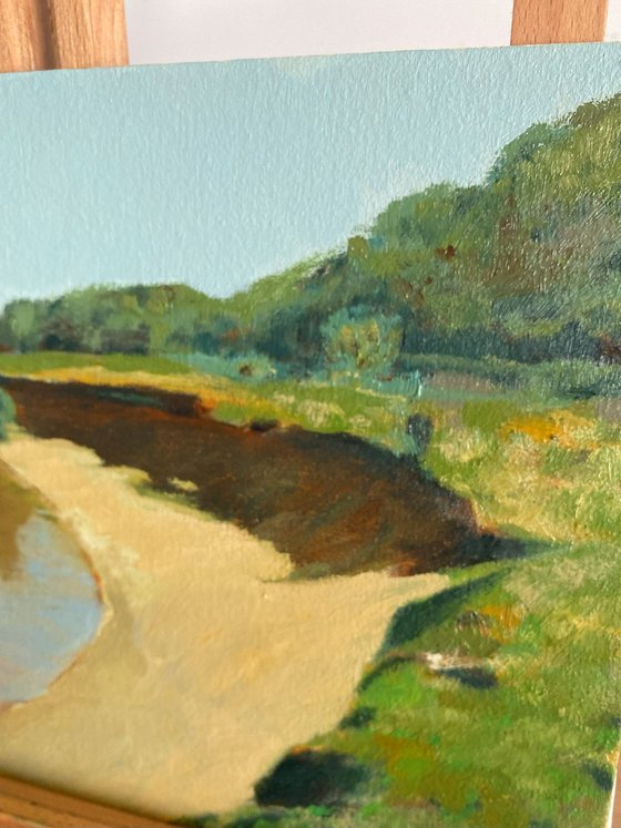 Along the shore