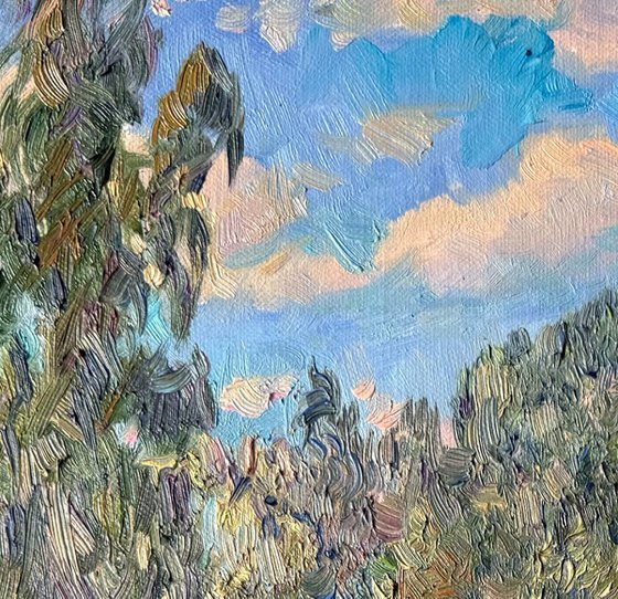 Where the Irises Bloom