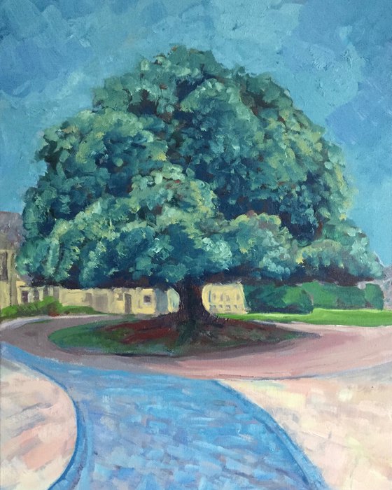 'The Holm Oak Tree, St Mary's Quad, St Andrews University'