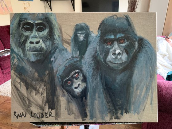 Three Gorillas and a Curious Baby Gorilla