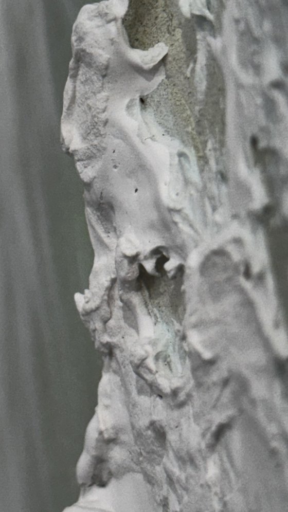 Whitsundays Green Tide