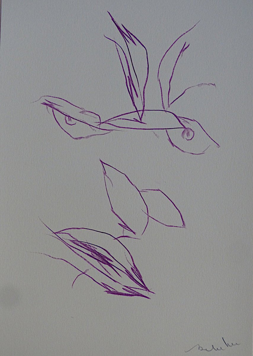 Expressive Portrait Pencil Drawing By Frederic Belaubre, 8 X 11, The Electric Face 8, Original Artwork