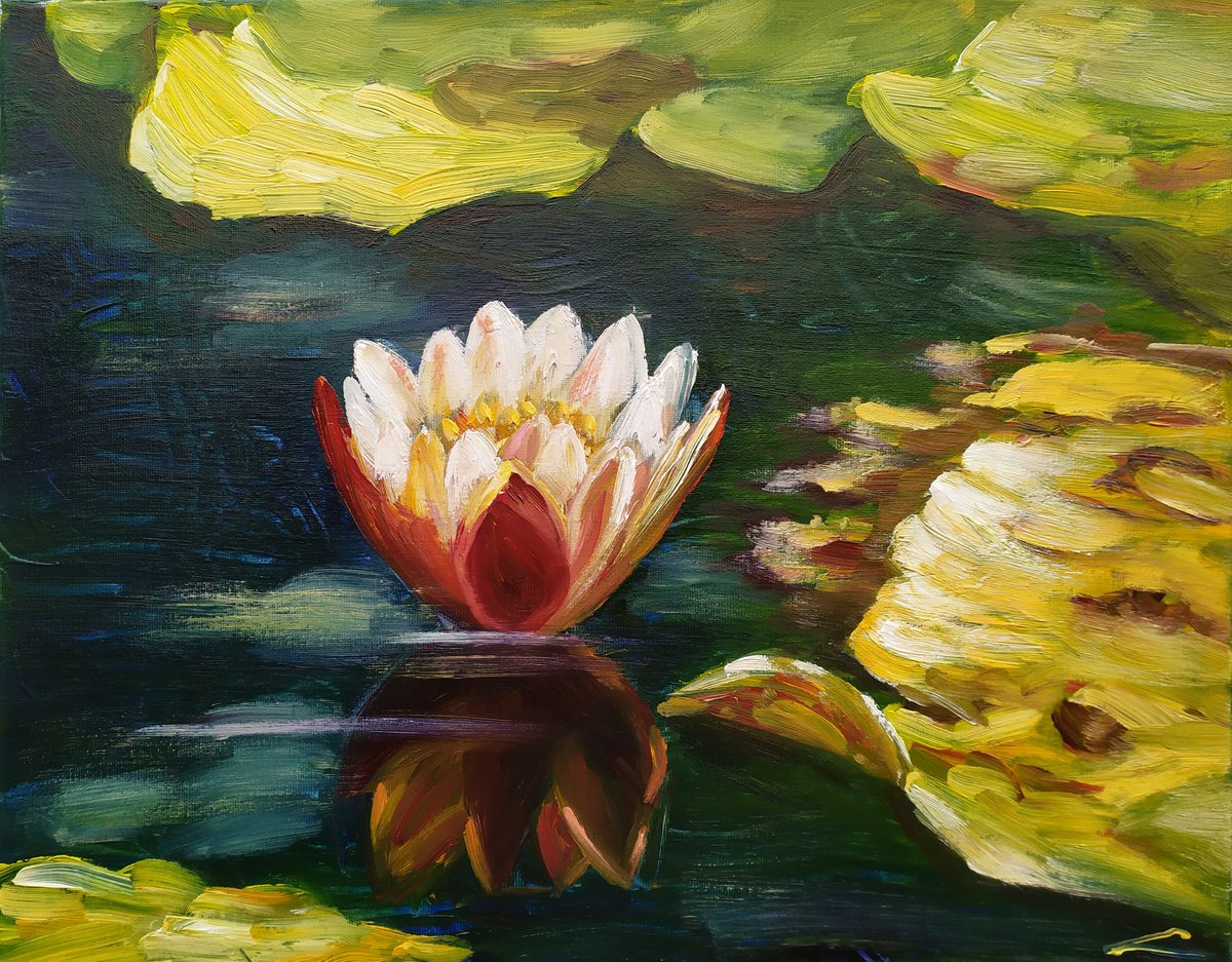 Impressionistic Botanical Oil Painting By Elena Sokolova, 20 X 16, Waterlily, Original Artwork