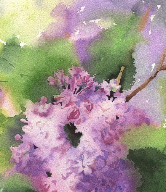 Ukrainian watercolour. Lilac