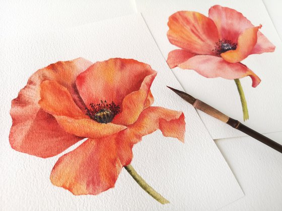 Red flower, watercolor poppy flower, small floral wall art
