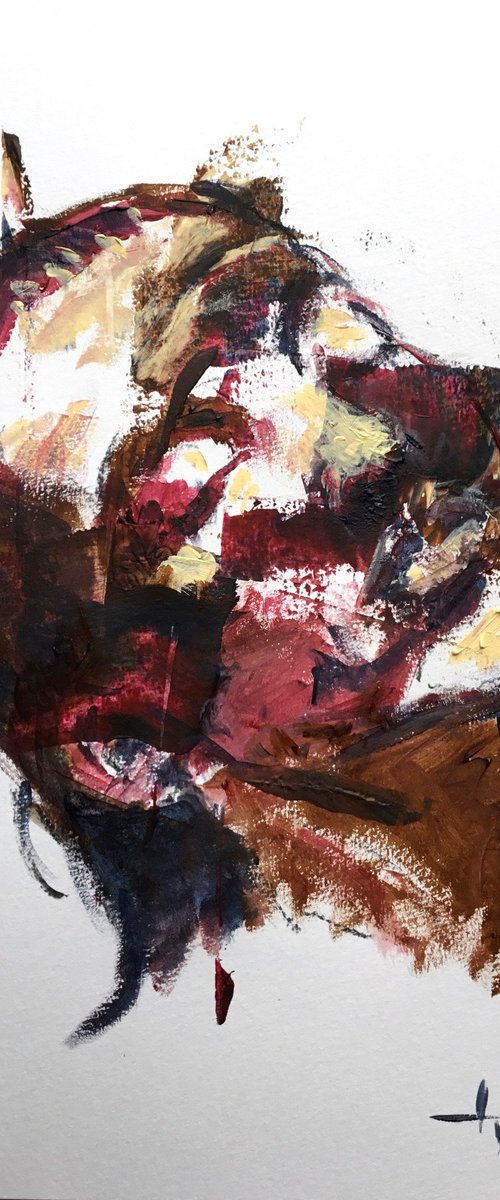 Alaia by Dominique Dève