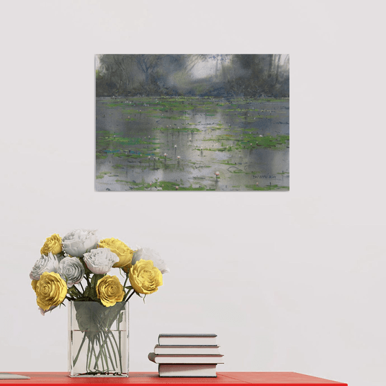 Water lilies 4