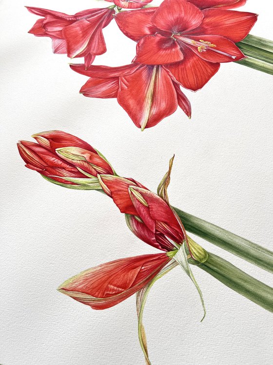 Algorithms of flowering.