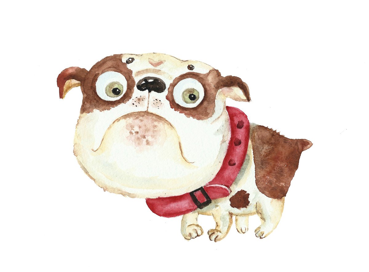 English bulldog by Elena Razina