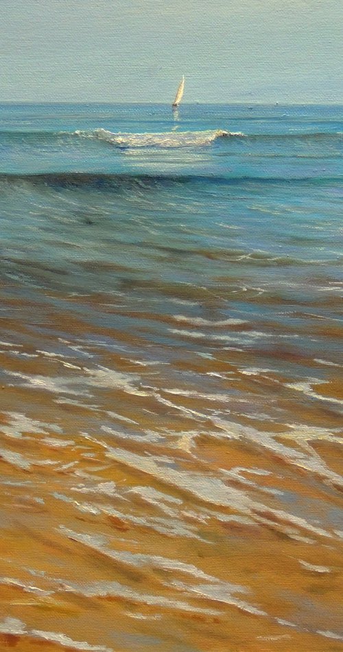 Shallow Waters by Paul Narbutt