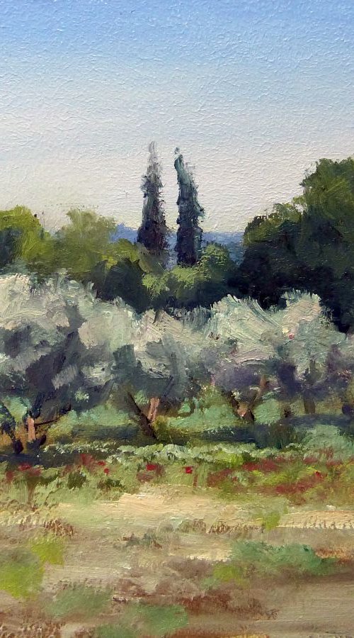 Olive Trees by Pascal Giroud