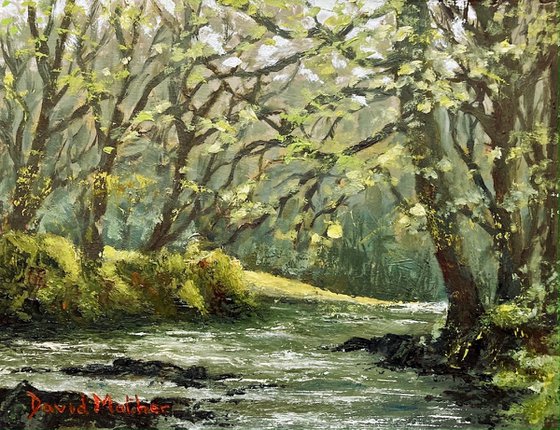 River Lynher at Cadsonbury Woods