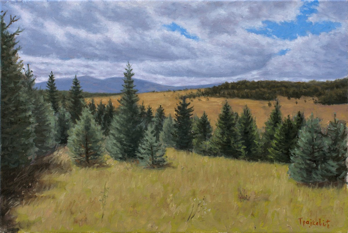 Impressionistic Landscape Oil Painting By Dejan Trajkovic, 21 X 15, Pines On Meadow, Original Artwork