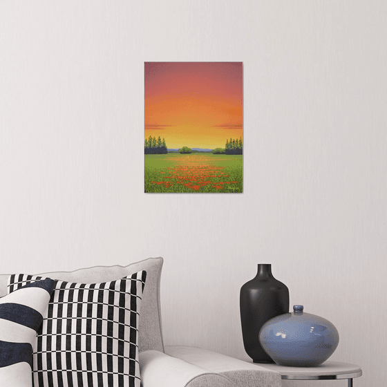 Orange Blooms - Flower Field