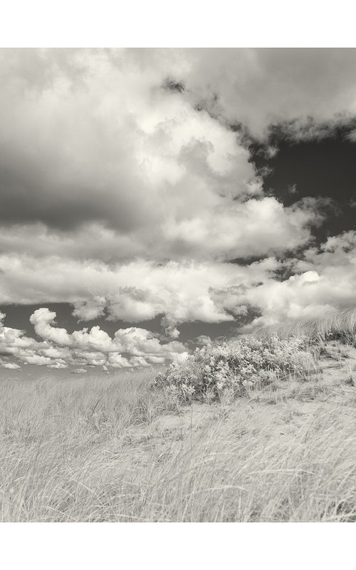 Dunes and Clouds - 18 x 12" by Brooke T Ryan