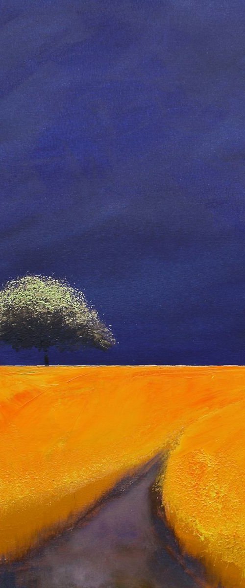 Solaris Dreamfields I by Simon Jones