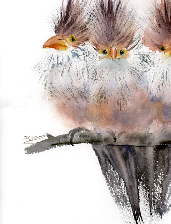 Trio Of Crested Birds - Diptych