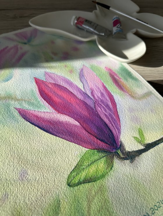 Blooming Pink Magnolia