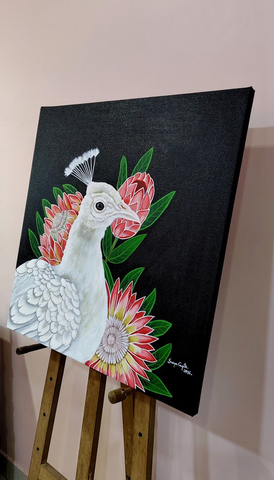 The Majestic Treasures of Nature