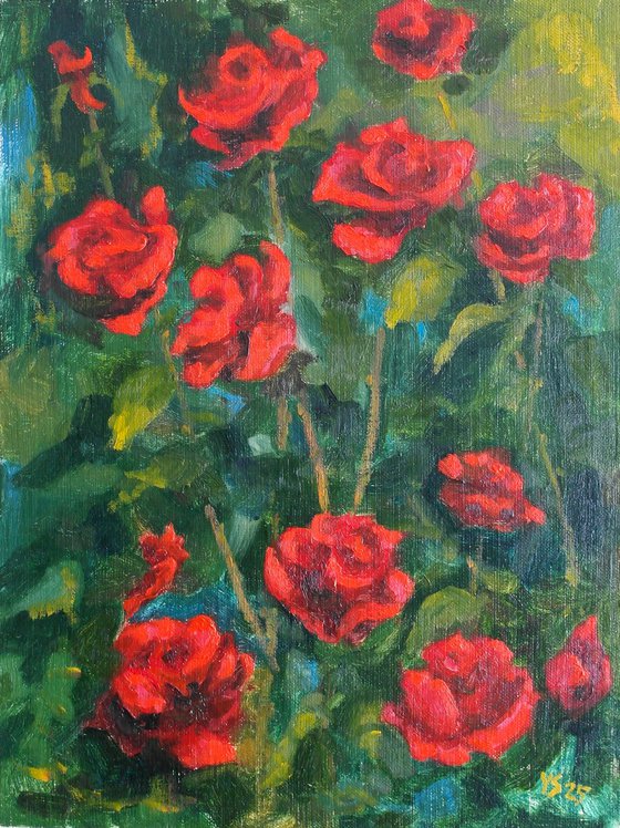 Dark Red Roses