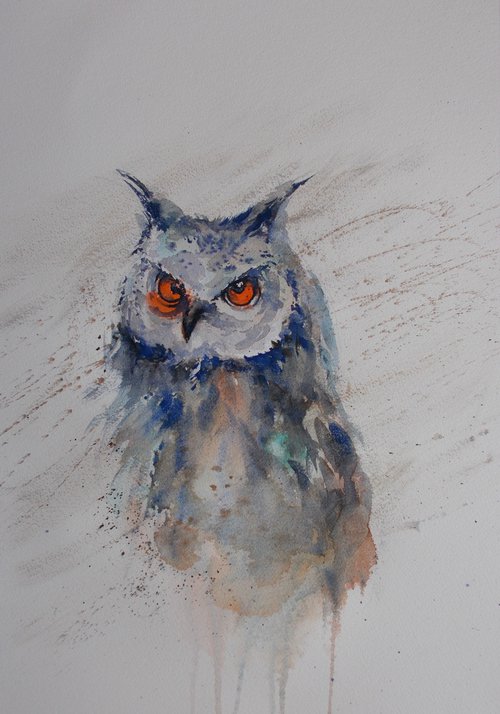 owl by Giorgio Gosti
