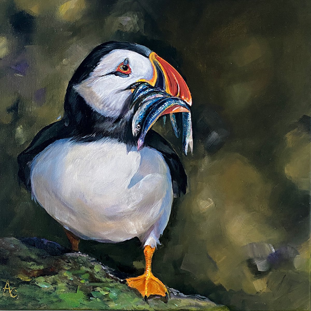 Photorealistic Animal Acrylic Painting By Arti Chauhan, 18 X 18, Mr Puffin