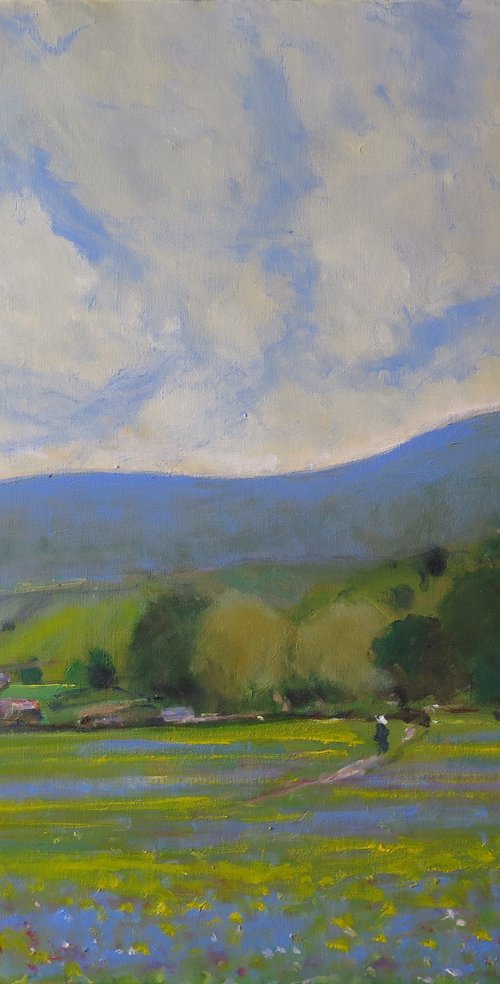 Swaledale Meadow by Malcolm Ludvigsen