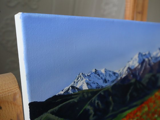 Mountain, Field of poppies