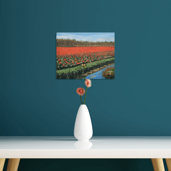 Tulip fields 2023