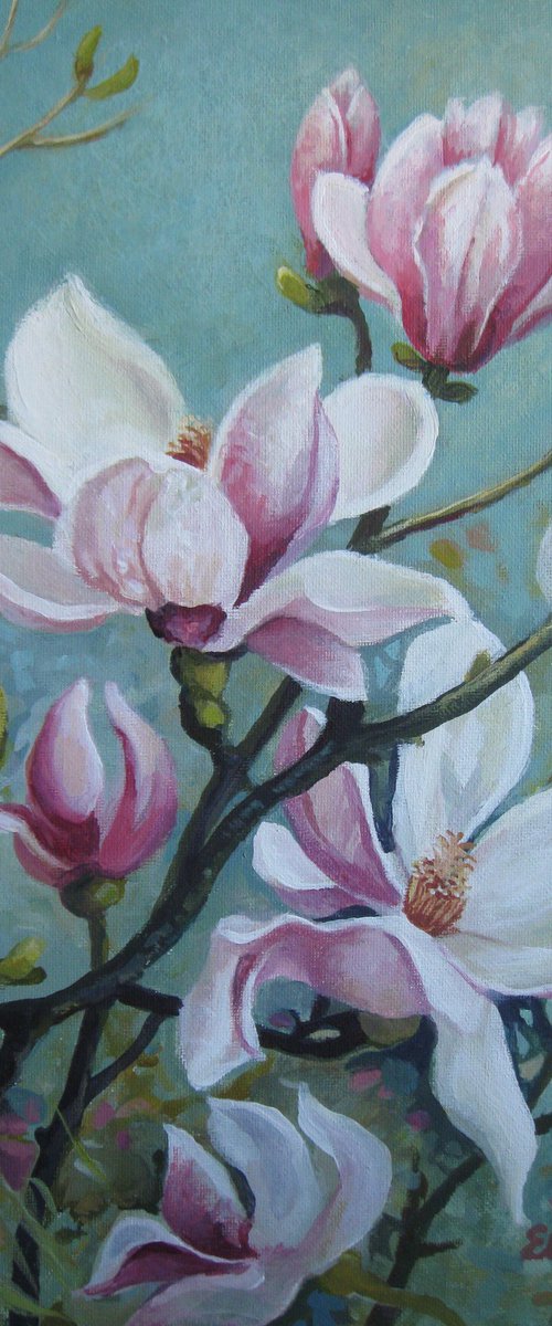 Magnolia flowers by Elena Oleniuc