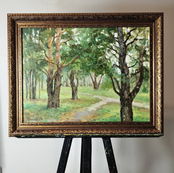 Pine trees in the park