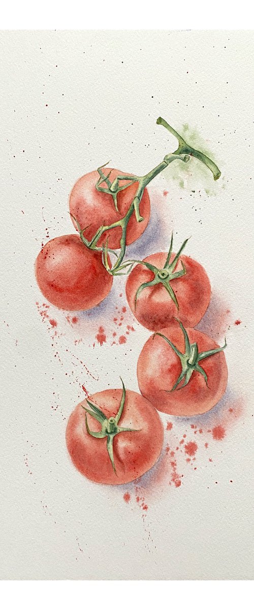 Tomatoes by Tina Shyfruk