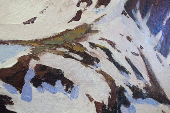 Spring in the mountains