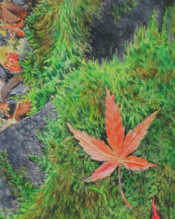 Fallen Leaves On A Mossy Rock