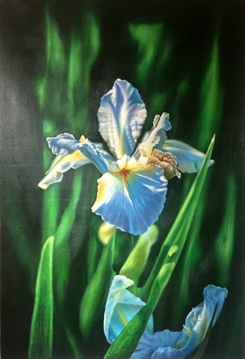 Realism oil painting:flowers c132 by Kunlong Wang