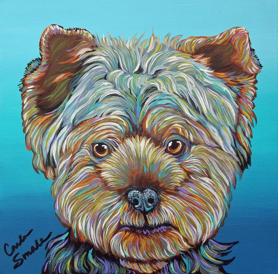 Yorkie Yorkshire Terrier Pet Dog Art  Rainbow Style Canvas- 10 x 10 inches -Carla Smale