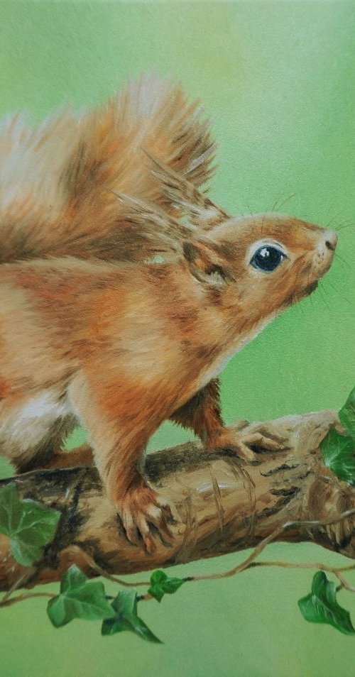 Red Squirrel with Ivy by Jayne Farrer