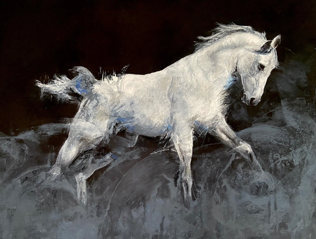 White horse on panel, original acrylic painting by Paul Hardern