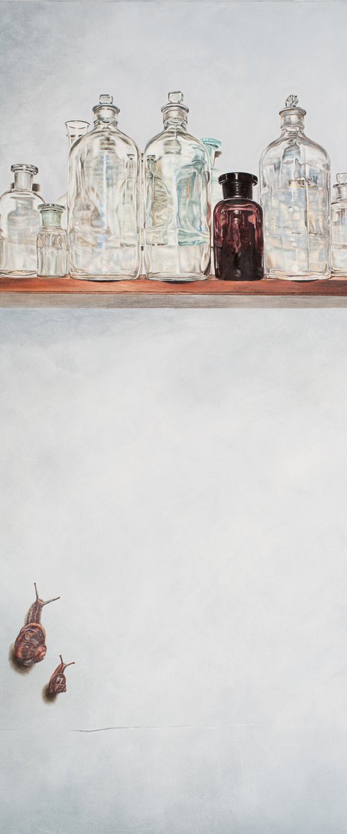 The Race by Natalie Toplass